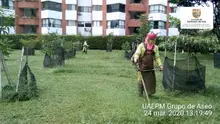 La atención a las zonas verdes de Cali se realiza durante todo el año
