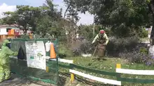 La atención a las zonas verdes de Cali se realiza durante todo el año