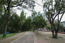 Cali le apuesta a la reactivación cultural y de los espacios públicos