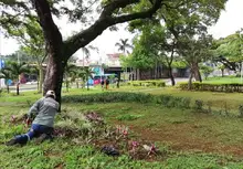 Embellecimiento de jardines con puro corazón