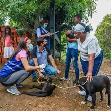 Construcción del Centro de Bienestar Animal iniciará este semestre