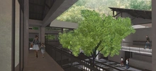 Construcción del Centro de Bienestar Animal iniciará este semestre