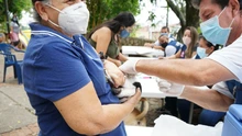 La vacunación para mascotas llega con jornadas masivas en los barrios