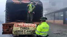 Dagma reactiva operativos de control en flora silvestre