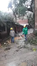 Dagma atiende emergencias arbóreas por lluvias