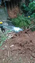 Dagma atiende emergencias arbóreas por lluvias