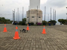 Operación RPAS Cerro de Cristo Rey 2021-02-24
