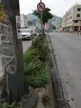Recuperación paisajística de la amada Cali