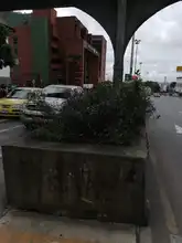 Recuperación paisajística de la amada Cali