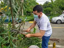 Secretaría de Paz y Cultura Ciudadana se vinculó a la minga de aseo y embellecimiento adelantada en la comuna 5