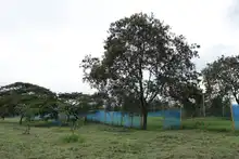 DAGMA ratifica defensa del espacio público y corredores verdes de la ciudad