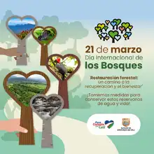 En el día internacional de los bosques, el Dagma invita a pensar en verde
