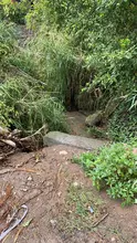 Alcaldía de Cali apoya búsqueda de desaparecidos en Buenaventura