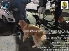Alcaldía de Cali apoya búsqueda de desaparecidos en Buenaventura