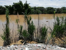 Dagma y Policía ambiental trabajan unidos en la protección del jarillón del río Cauca 