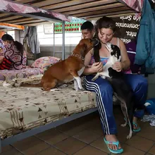 40 familias reciben atención integral en albergue temporal dispuesto por la Alcaldía de Cali