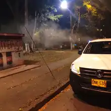 ¿Conoces al Aedes aegypti? Aquí te contamos cómo identificarlo y el peligro que representa