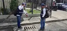 ¿Conoces al Aedes aegypti? Aquí te contamos cómo identificarlo y el peligro que representa