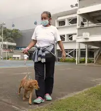 Ante la emergencia invernal, la Administración Distrital acompaña de la mano a la comunidad