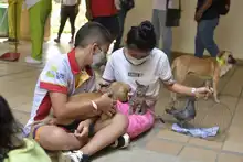 Familias y seres sintientes son atendidos en alojamiento temporal de la Alcaldía de Cali