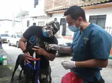 Llevamos vacunación contra el covid-19 a la comuna 20 de Cali