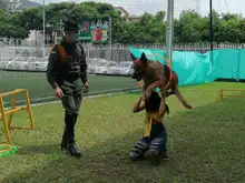 Los caleños, unidos en un mismo esfuerzo