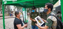 En Domingo de Ramos, Dagma recomendó plantas ornamentales en vez de palma de cera