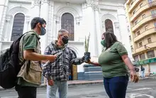 En Domingo de Ramos, Dagma recomendó plantas ornamentales en vez de palma de cera
