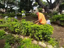 En Brisas de los Álamos y Calima, comunidad se apropia de parques y zonas públicas