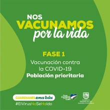 Etapas