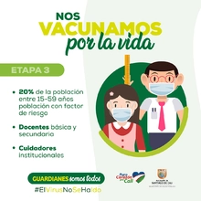 Etapas