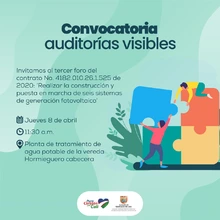Convocatoria auditorías visibles