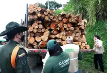 Continúan operativos de control y vigilancia ambiental