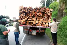 Continúan operativos de control y vigilancia ambiental