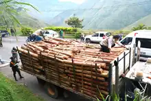 Continúan operativos de control y vigilancia ambiental