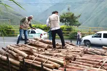 Continúan operativos de control y vigilancia ambiental
