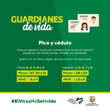 Pico y cédula