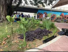 Administración de Puro Corazón por Cali entrega renovado espacio público en el barrio Centenario