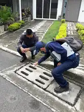 En 2021 se han presentado 2164 casos de dengue en Cali