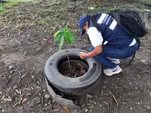 En 2021 se han presentado 2164 casos de dengue en Cali