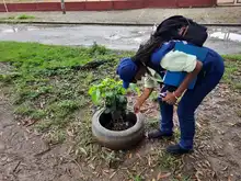 En 2021 se han presentado 2164 casos de dengue en Cali