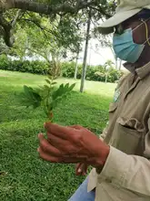 Vivero Distrital, custodios y guardianes de semillas en Cali