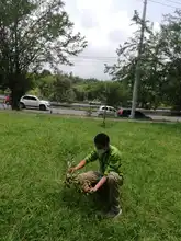 Vivero Distrital, custodios y guardianes de semillas en Cali