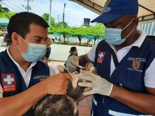 Con medidas de bioseguridad para prevenir el contagio de Covid, se desarrolló jornada de salud animal 