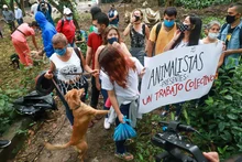  “El Centro de Bienestar Animal es un espacio para proteger la vida”: Ospina