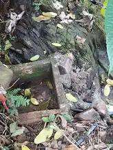 Dagma atiende solicitudes alrededor de la quebrada Guarrús en la comuna 20