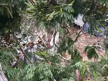 Dagma atiende solicitudes alrededor de la quebrada Guarrús en la comuna 20