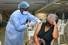 Docentes mayores de 65 años ya están recibiendo primera dosis de vacunación contra covid-19