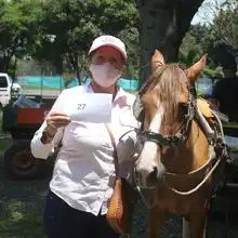 Inició el censo a familias con vehículos de tracción animal
