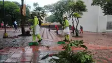 ¡Atención! La recolección de residuos en la ciudad afectada por bloqueos